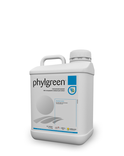 5L_Phylgreen_3D_Silhouette_XL
