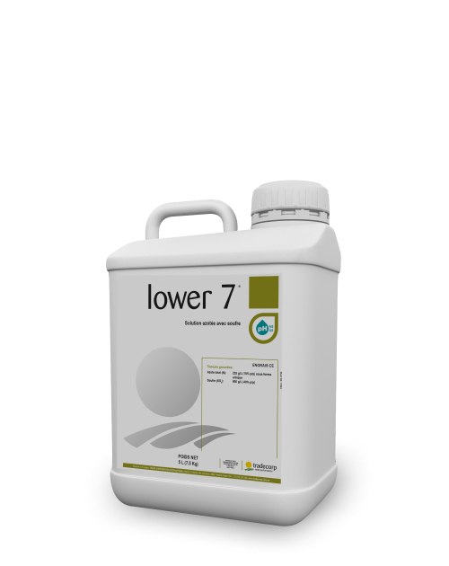 5L_lower7_3D_Silhouette_XL