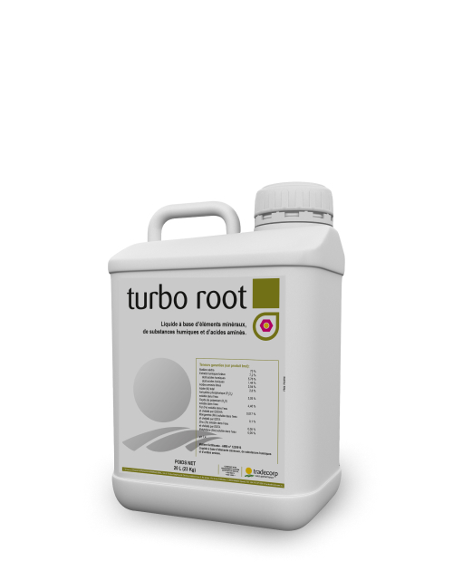 5L_turbo root_3D_Silhouette_XL
