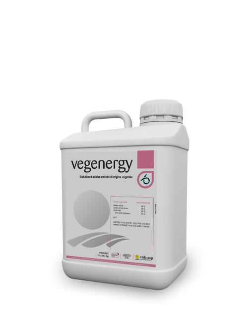 5L_vegenergy_3D_silhouette_XL