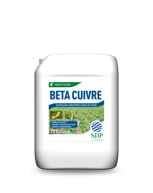 BETA-CUIVRE_10L