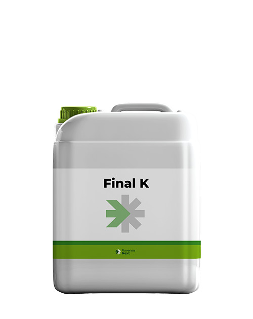 FINALK-WEB