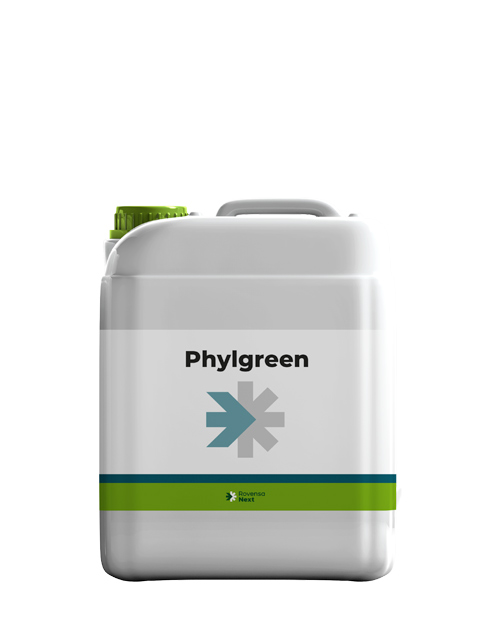 PHYLGREEN_10L