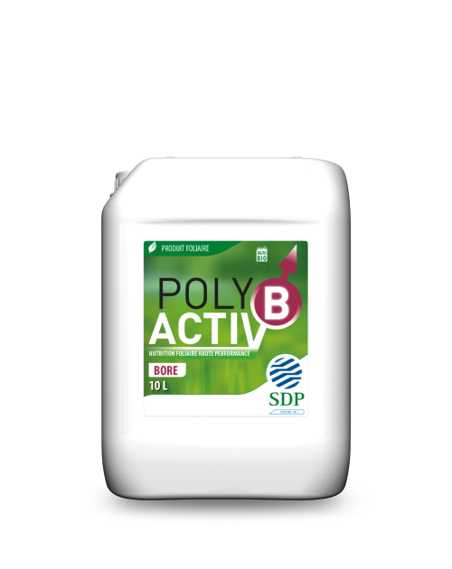 POLYACTIV_B_10L