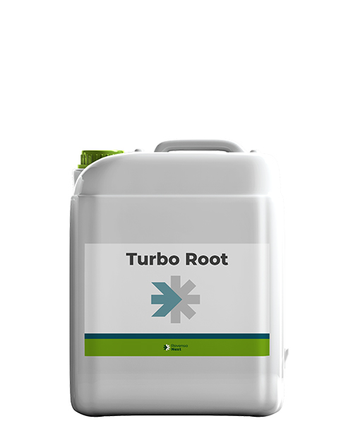 TurboRoot_Web_RNEXT 1