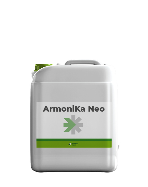 armonika_neo