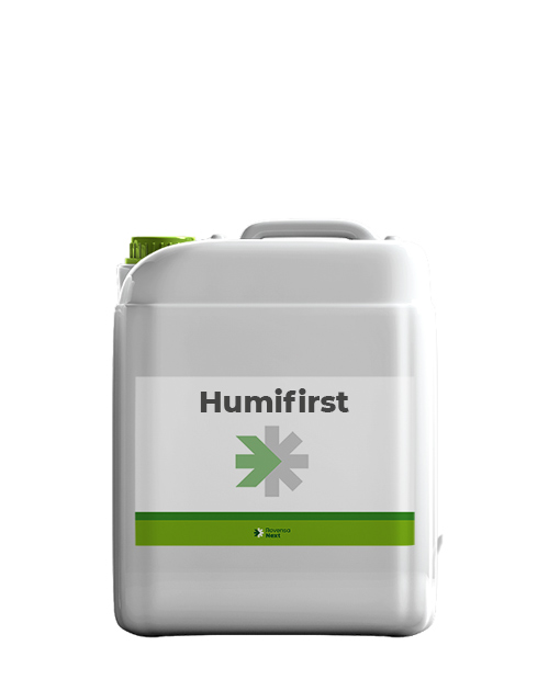 humifirst