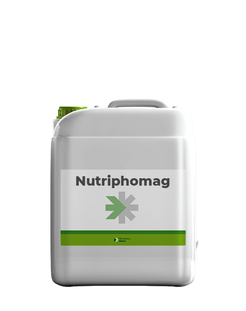 nutriphomag