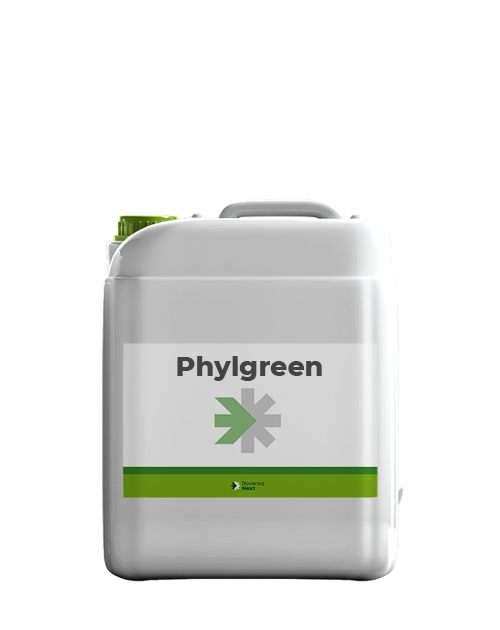 phylgreen