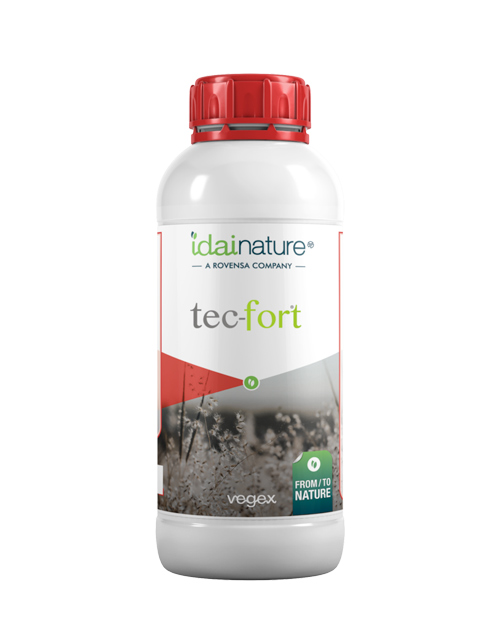 TEC-FORT