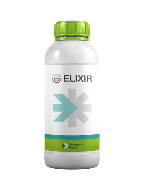 elixir