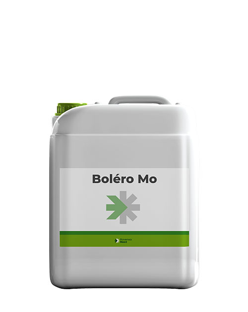 BOLERO-Mo-WEB