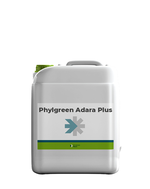 PHYLGREEN_ADARAP10L