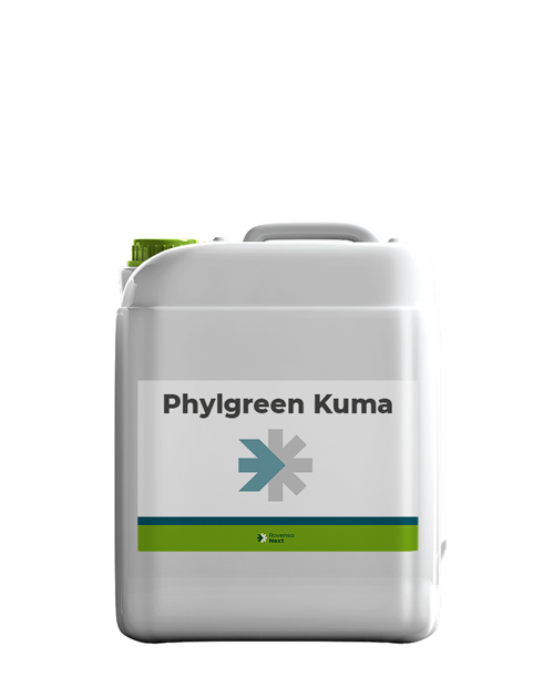 PHYLGREEN_KUMA10L