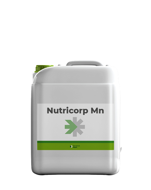 nutricorp_mn