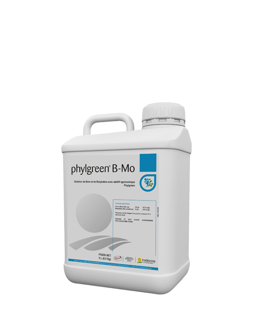 phylgreenBMO