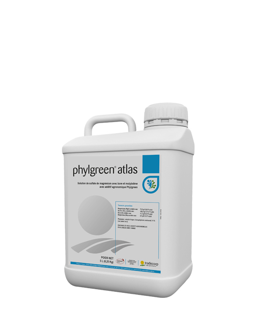 phylgreen_atlas render