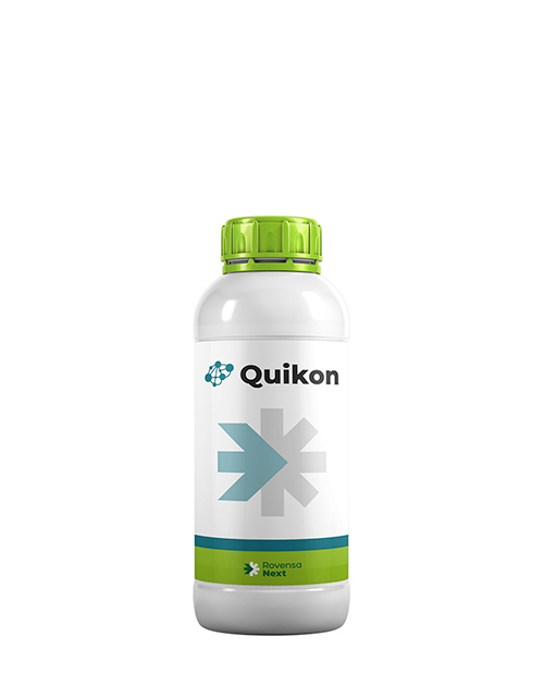 QUIKON_2024