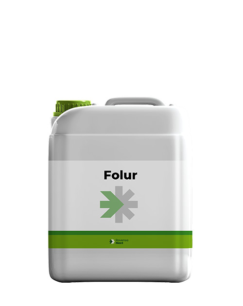 FOLUR-WEB