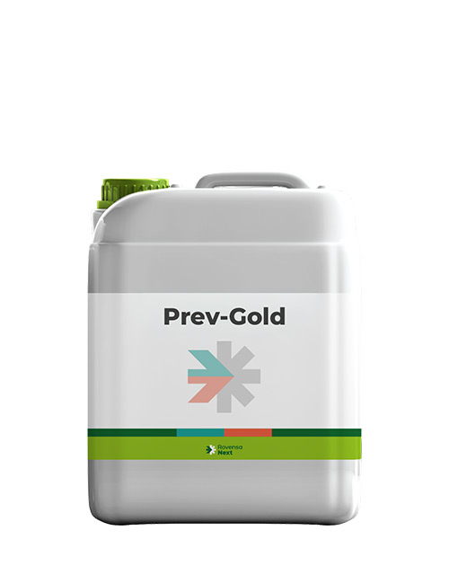 PREV-GOLD-WEB