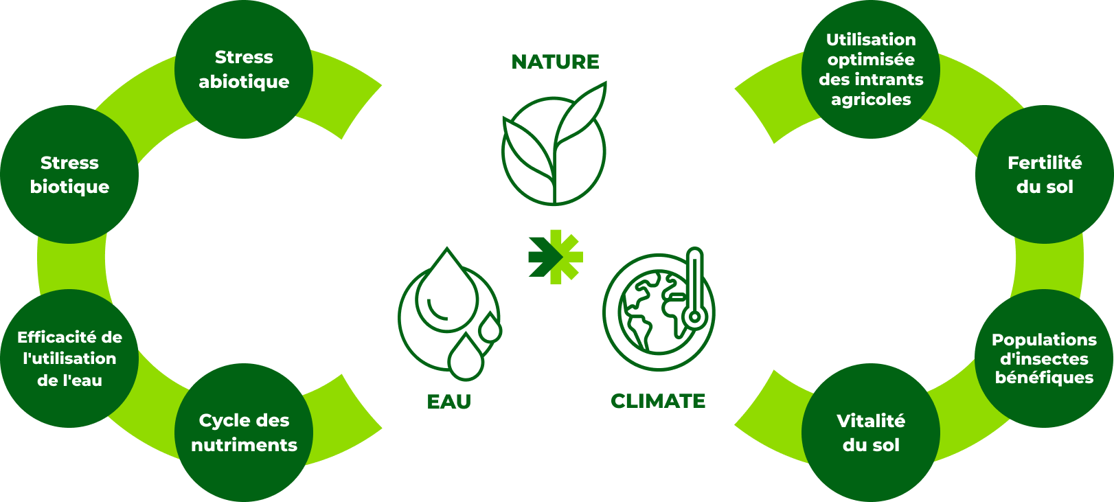 Le portefeuille de biosolutions Rovensa Next relève les défis fondamentaux de la durabilité tout en boostant la rentabilité des producteurs.​