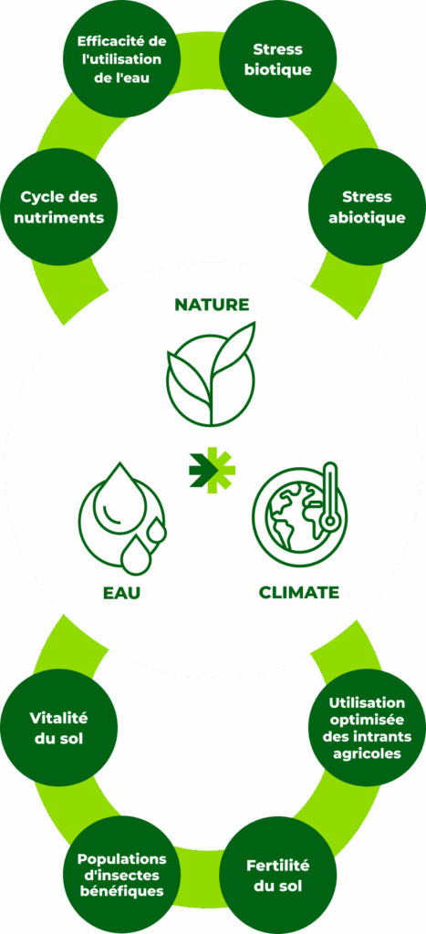 Le portefeuille de biosolutions Rovensa Next relève les défis fondamentaux de la durabilité tout en boostant la rentabilité des producteurs.​