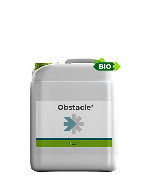 OBSTACLE-WEB