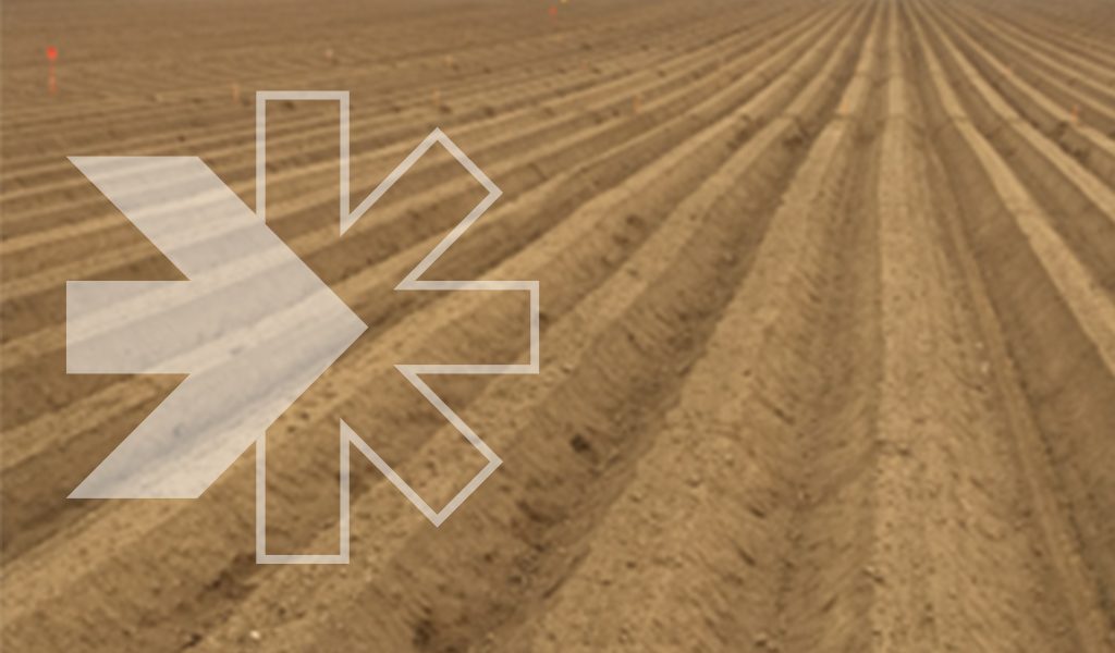 Template_1024x600-Image_Article patate