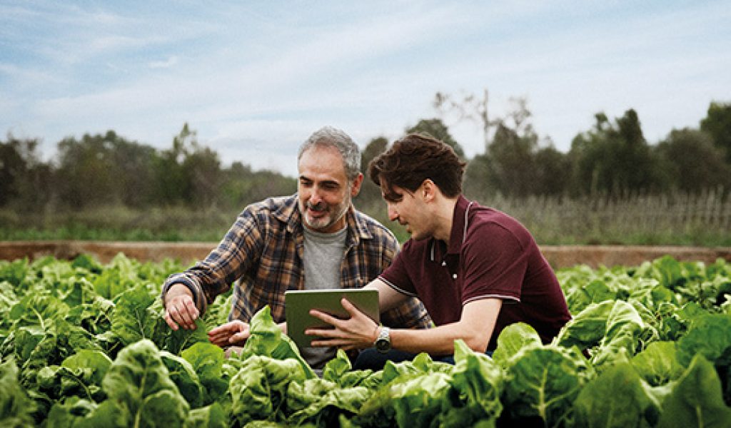 Two-men-in-field_536x391